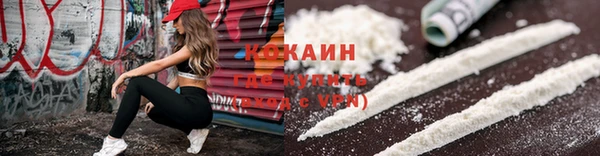 дмт Дмитриев