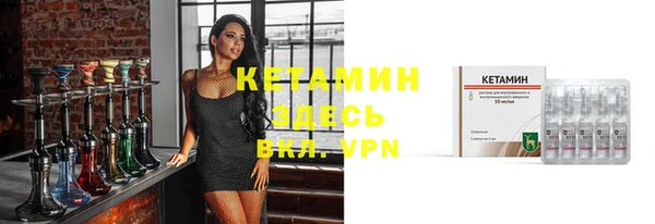 дмт Дмитриев