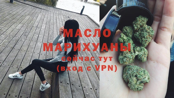 дмт Дмитриев